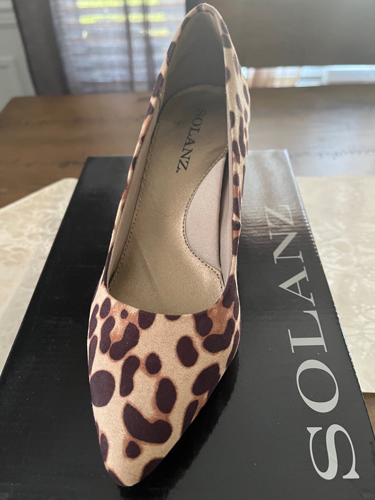 Solanz Leopard-Print Pointed Toe Pumps - Brown
